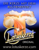 Lotuskerze - die Kerze mit dem Blüteneffekt